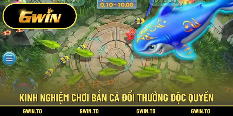 Bí quyết săn cá online thắng lớn độc quyền