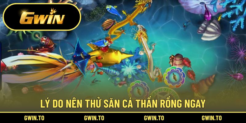 Nguyên nhân nên trải nghiệm săn cá Thần Rồng
