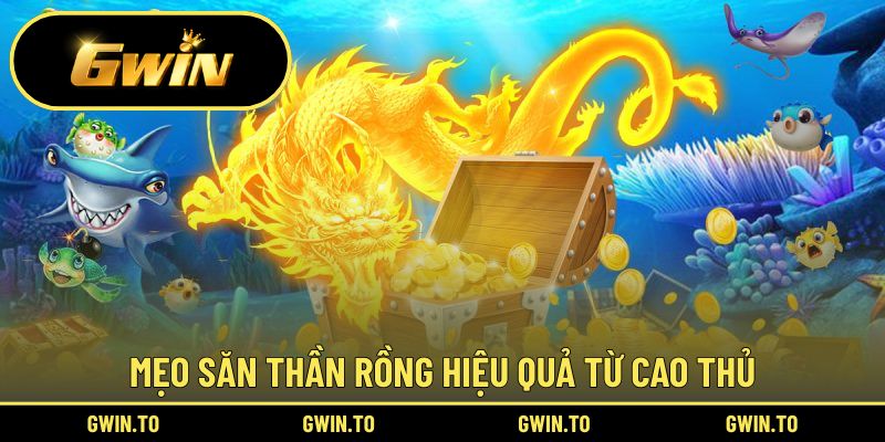Kinh nghiệm chơi săn cá Thần Rồng hiệu quả
