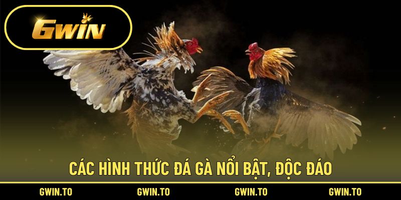 Bật mí các dạng đá gà đang được ưa chuộng