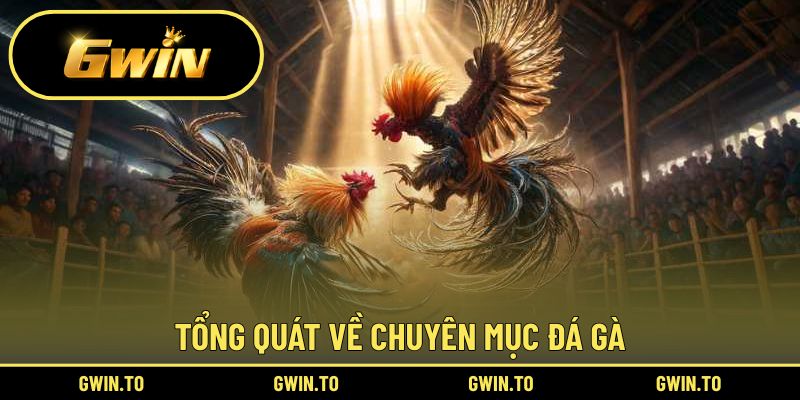 Tìm hiểu khái quát về đá gà