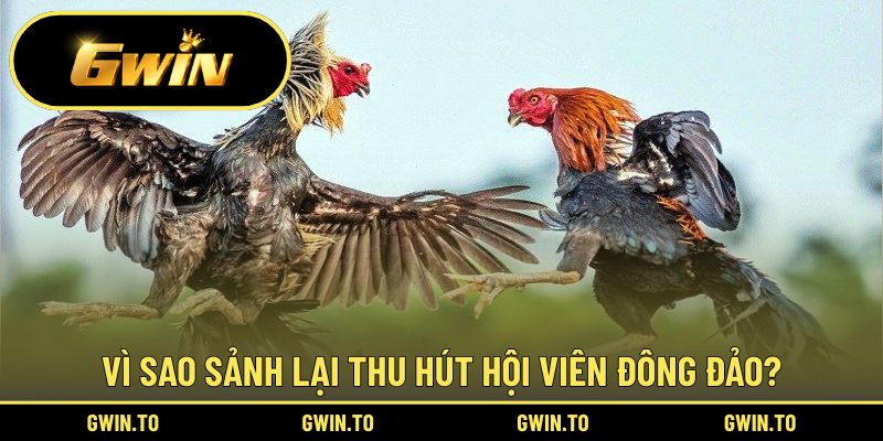 Ưu điểm đặc sắc, cuốn hút hội viên